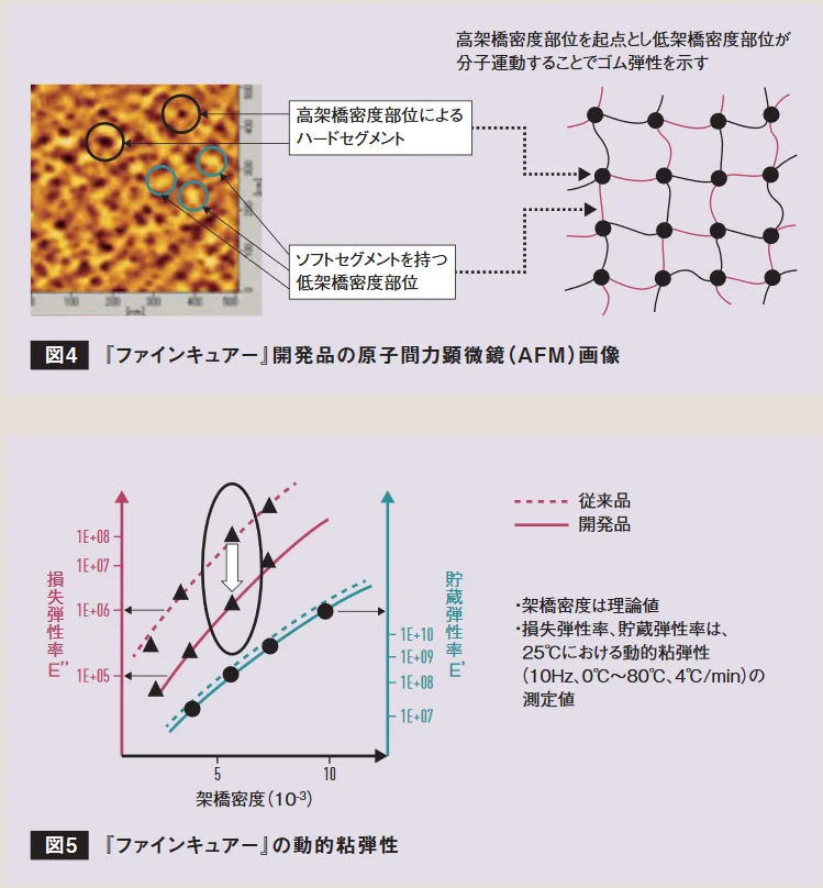 開発品のAFM画像と、高架橋密度・低架橋密度部位の分子構造模式図