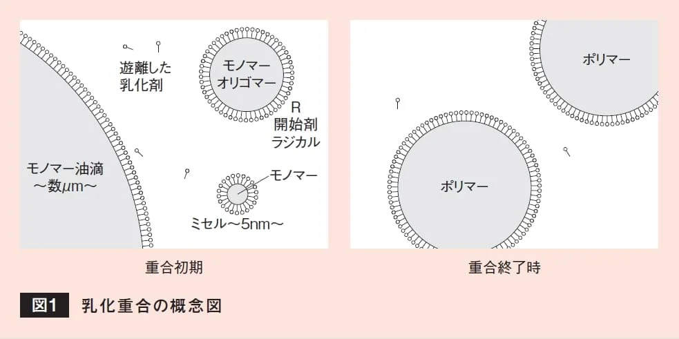 ミセル・モノマー油滴・遊離乳化剤から、乳化剤で覆われたポリマー粒子が生成する様子を示す模式図