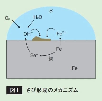 水中の酸素・水と鉄表面の反応で電子が移動し、さびが生成する過程を示す模式図